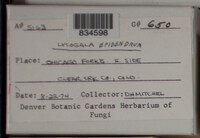 Image Associated With the Occurence